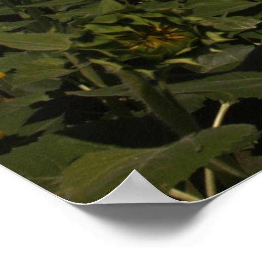 Krümmung Poster (Ecke)