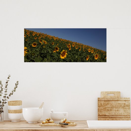 Krümmung Poster (Küche)