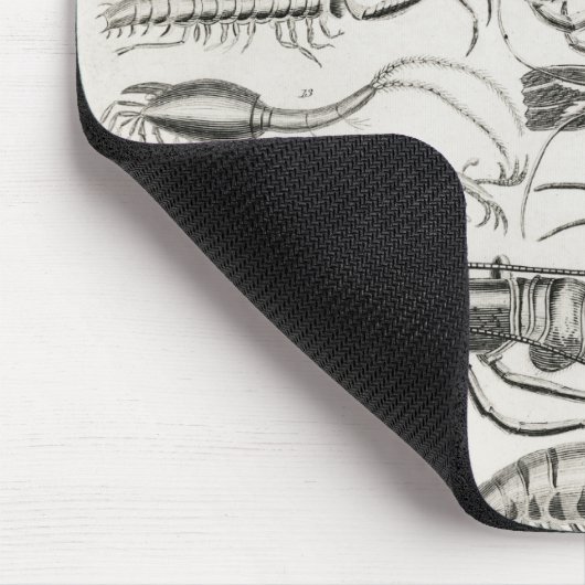 Krustentiere Mousepad (Ecke)