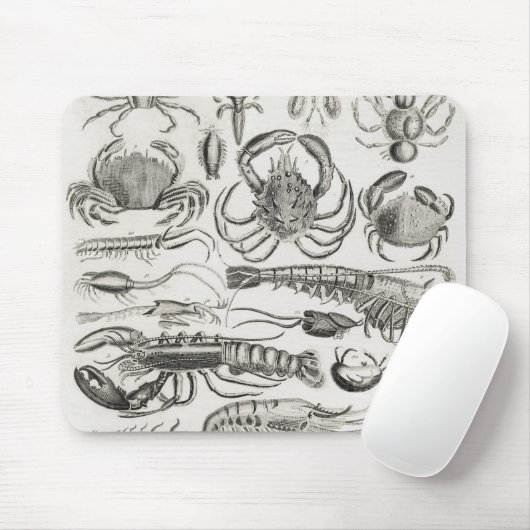 Krustentiere Mousepad (Mit Mouse)