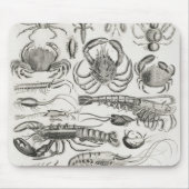 Krustentiere Mousepad (Vorne)