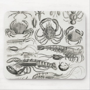 Krustentiere Mousepad