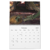 KRW Fantasy-Kalender Kalender (Feb 2027)