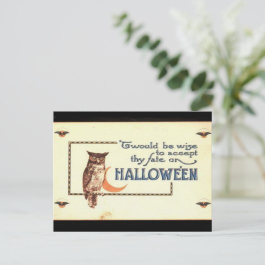 KRW Vintag Halloween Owl Postkarte (Stehend Vorderseite)