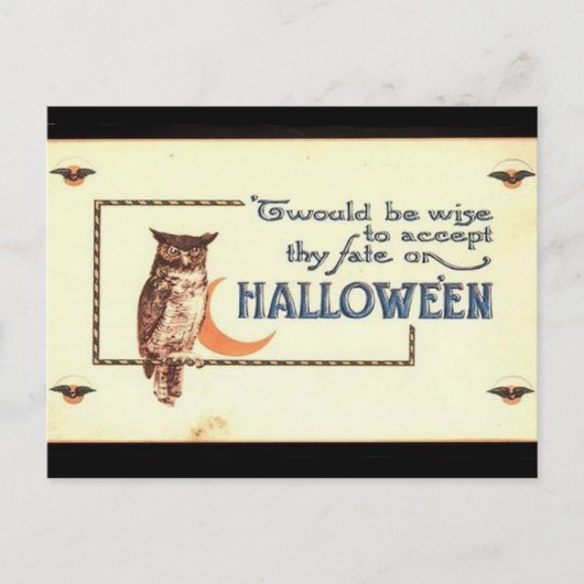 KRW Vintag Halloween Owl Postkarte (Vorderseite)