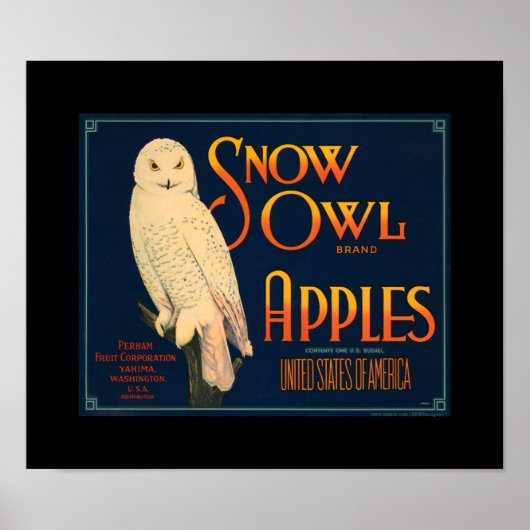 KRW Vintag Snow Owl Apfelfruchtkasten Lable Poster (Vorne)