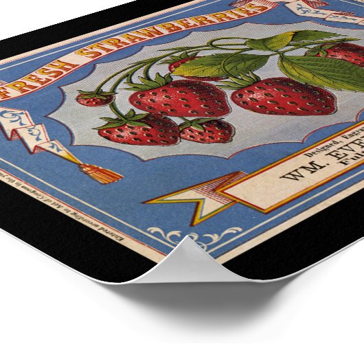 KRW Vintages Erdbeerfruchtsiegel Poster (Ecke)