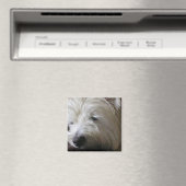 KRW Westie Magnet (In Situ (Geschirrspüler))