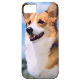 KRWcorgi-HundiPhone 5 Fall Case-Mate iPhone Hülle