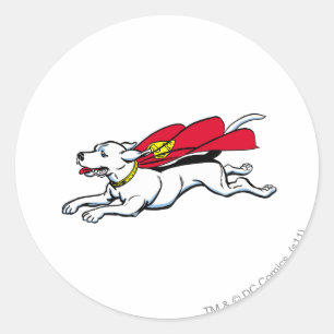 Krypto Runder Aufkleber