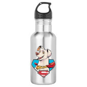 Krypto S-Shield Graphic Edelstahlflasche (Vorderseite)