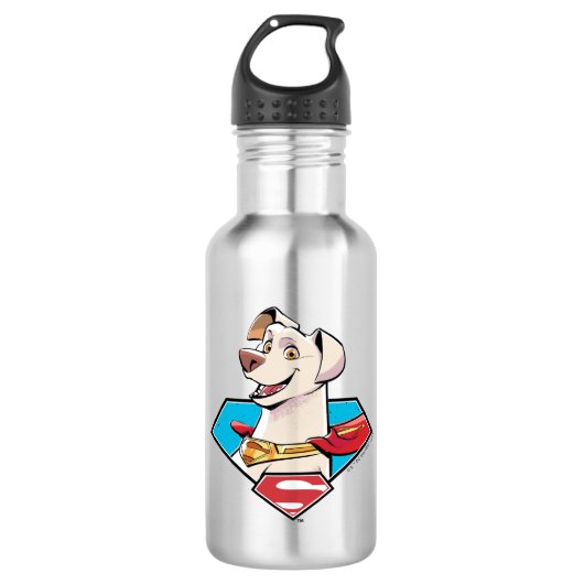 Krypto S-Shield Graphic Edelstahlflasche (Vorderseite)
