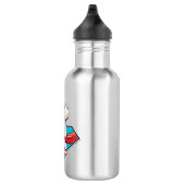 Krypto S-Shield Graphic Edelstahlflasche (Rechts)