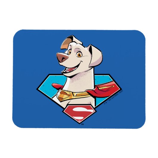Krypto S-Shield Graphic Magnet (Horizontal)