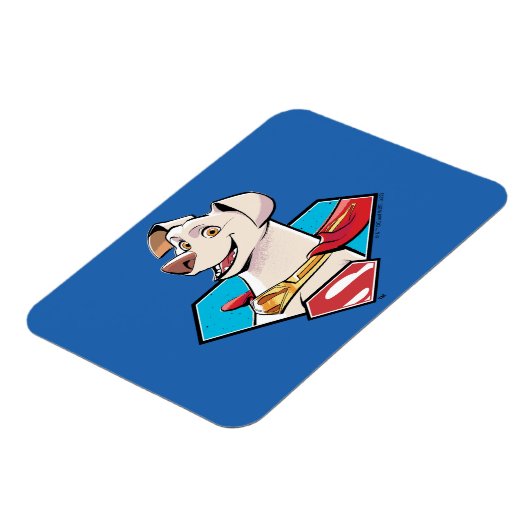 Krypto S-Shield Graphic Magnet (Linke Seite)