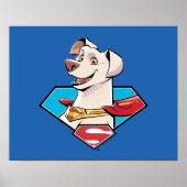 Krypto S-Shield Graphic Poster (Vorne)