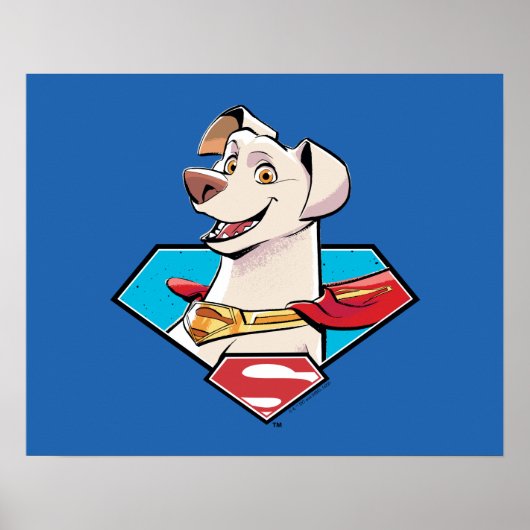 Krypto S-Shield Graphic Poster (Vorne)