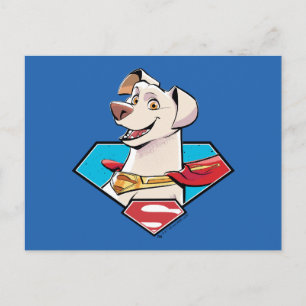 Krypto S-Shield Graphic Postkarte