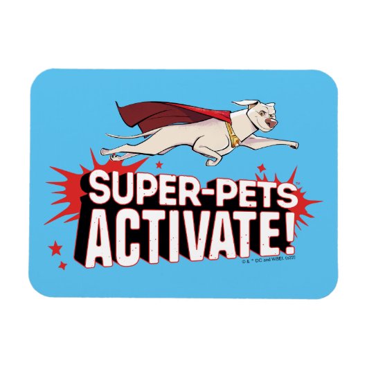 Krypto: Super-Pets aktivieren! Magnet (Horizontal)