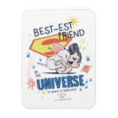 Krypto & Superman: Der beste Freund im Universum Magnet (Vertikal)