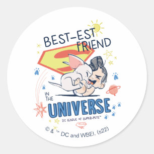 Krypto & Superman: Der beste Freund im Universum Runder Aufkleber