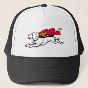 Krypto Truckerkappe