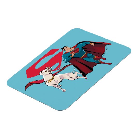 Krypto und Superman Magnet (Linke Seite)
