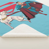 Krypto und Superman Sherpadecke (3/4)