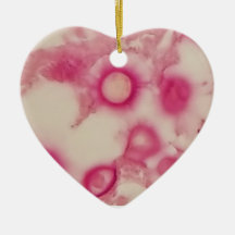 Kryptokokken-Ornament