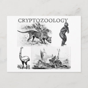 kryptozoology postcard postkarte