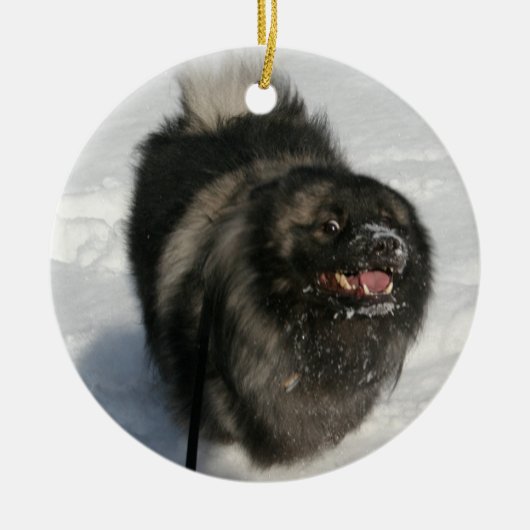 KSRF kundengerechte Verzierung Keramikornament (Vorne)