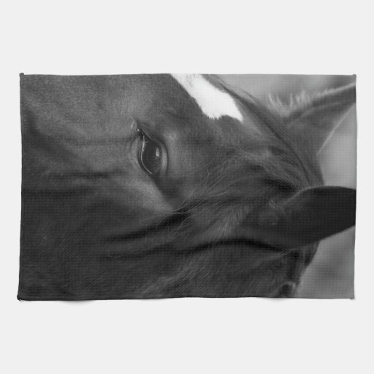 Ktcnm Geschirrtuch (Horizontal)