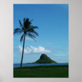 Kualoa 1 poster (Vorne)