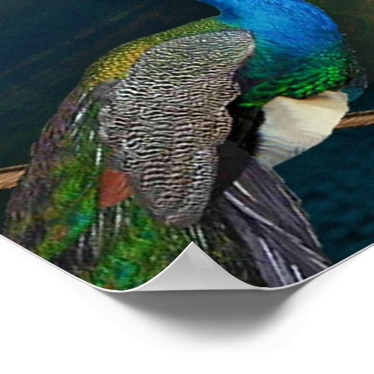 Kuan Yin Wall Tapestry Poster (Ecke)