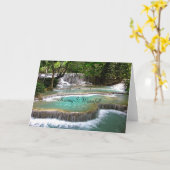 Kuang Si Waterfall, Natur, Karte (Gelbe Blume)