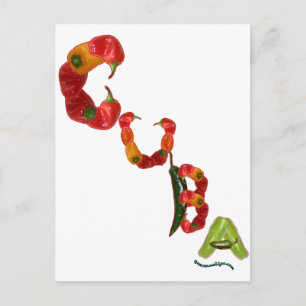 Kuba-Chili-Paprikaschoten Postkarte