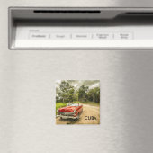 Kuba Magnet (In Situ (Geschirrspüler))