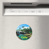 Kuba-Magnet Magnet (In Situ (Geschirrspüler))