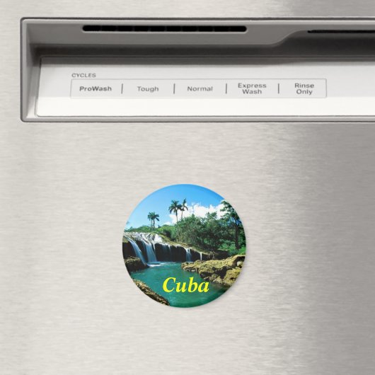 Kuba-Magnet Magnet (In Situ (Geschirrspüler))