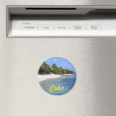 Kuba-Magnet Magnet (In Situ (Geschirrspüler))