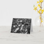 Kuba nahm Anmerkungs-Karte gefangen Karte (Gelbe Blume)