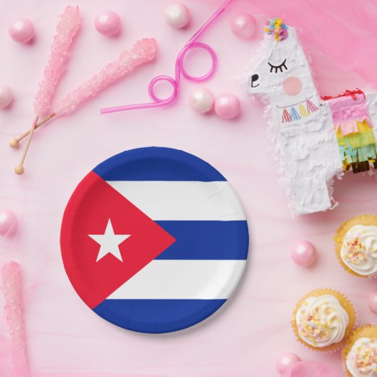 Kuba Pappteller (Party)