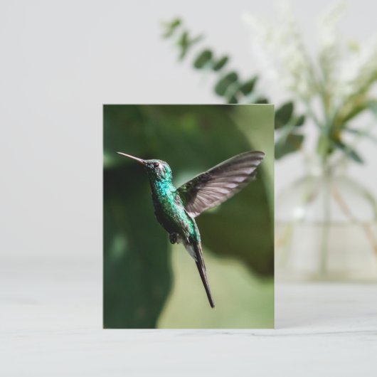 Kuban Emerald Hummingbird Flying Postcard Postkarte (Stehend Vorderseite)