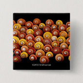 Kubanische Baum-Schnecken Button (Vorderseite)