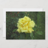 Kubistische Rose Feiertagskarte (Vorderseite)
