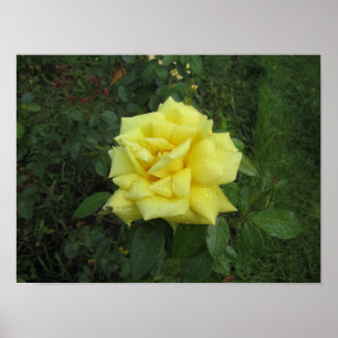 Kubistische Rose Poster