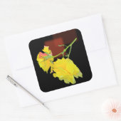 Kubistische Rose Quadratischer Aufkleber (Umschlag)