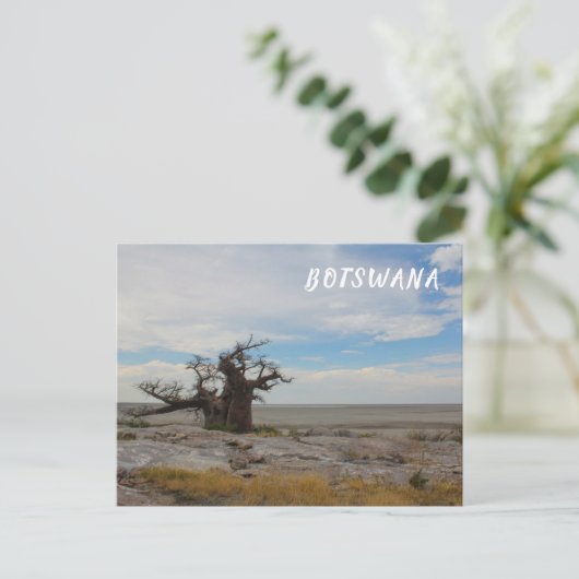 Kubu Island Baobab Tree Baobabs Botswana Landschaf Postkarte (Stehend Vorderseite)