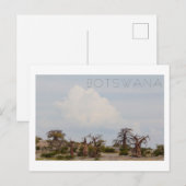 Kubu Island Baobab Tree Baobabs Botswana Landschaf Postkarte (Vorne/Hinten)