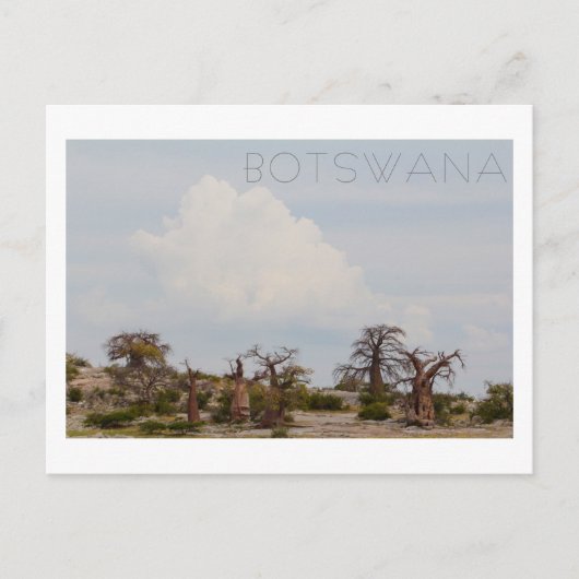 Kubu Island Baobab Tree Baobabs Botswana Landschaf Postkarte (Vorderseite)